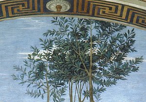 Parnaso - Árboles Parnaso - Árboles