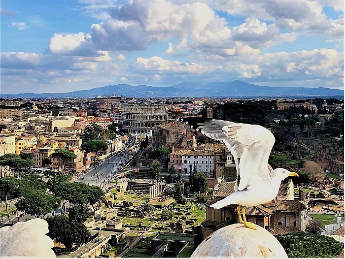 Roma: Vaticano, Coliseo y Plazas Principales con almuerzo y coche