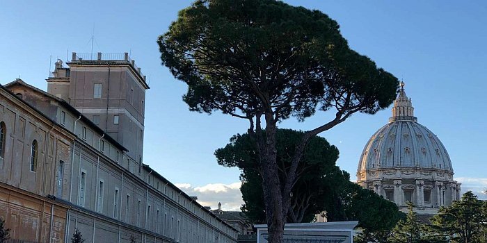 Roma: Musei Vaticani: tour privato di prima mattina