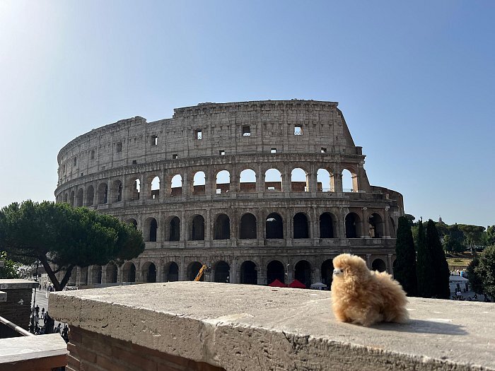 Private Half-day tour to Vatican