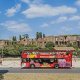 De Civitavecchia: Excursão Hop-On Hop-Off a Roma e transfer de autocarro