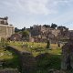 Rome: Full Day Tour Colosseum and Vatican Museums with lunch