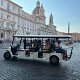 Rome: Private Golf Cart City Highlights Tour