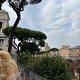 Private Half-day tour to Vatican