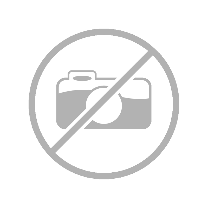 ピオ・クレメンティーノ美術館 — ラオコーンとアポロ | バチカン