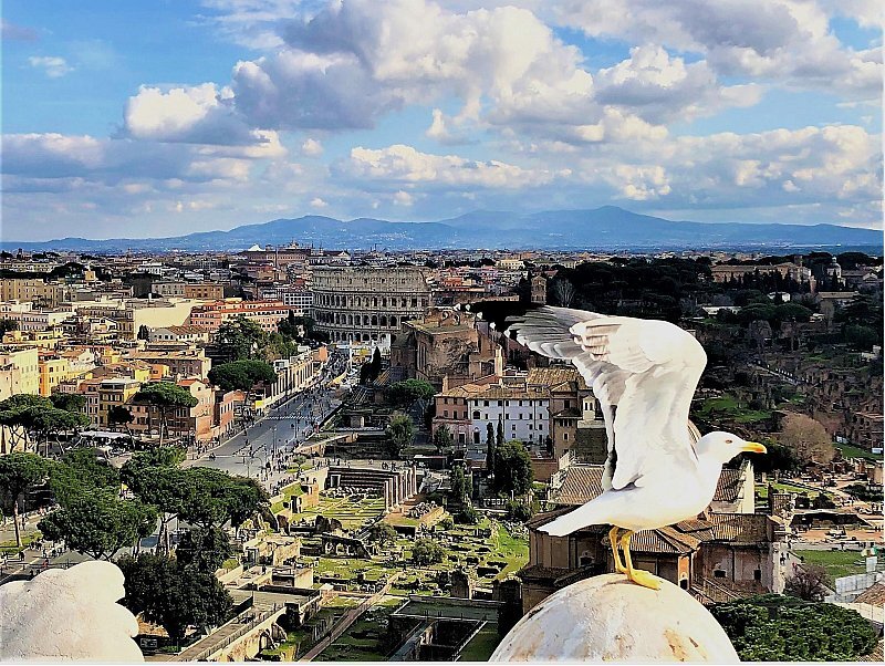 Roma: Vaticano, Coliseo y Plazas Principales con almuerzo y coche